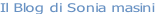 Il Blog di Sonia masini